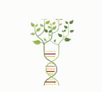 Illustration of a DNA strand growing into a leafy tree, symbolizing the connection between nature, genetics, and holistic healing.