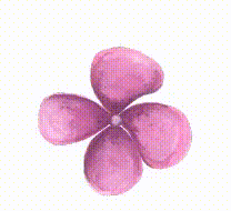 Minimal watercolor illustration of a pink four-petal flower, symbolizing feminine energy, simplicity, and natural beauty.