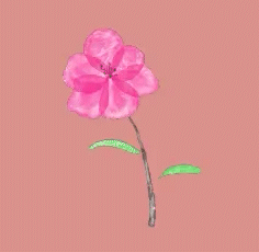 Delicate watercolor illustration of a pink flower with green leaves on a muted rose background, symbolizing feminine energy, growth, and emotional healing.