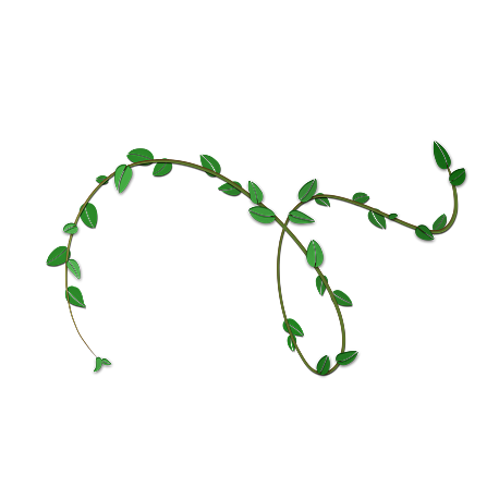 Delicate green vine with leaves extending across a white, yellow, and brown background, symbolizing natural growth, connection, and organic flow.